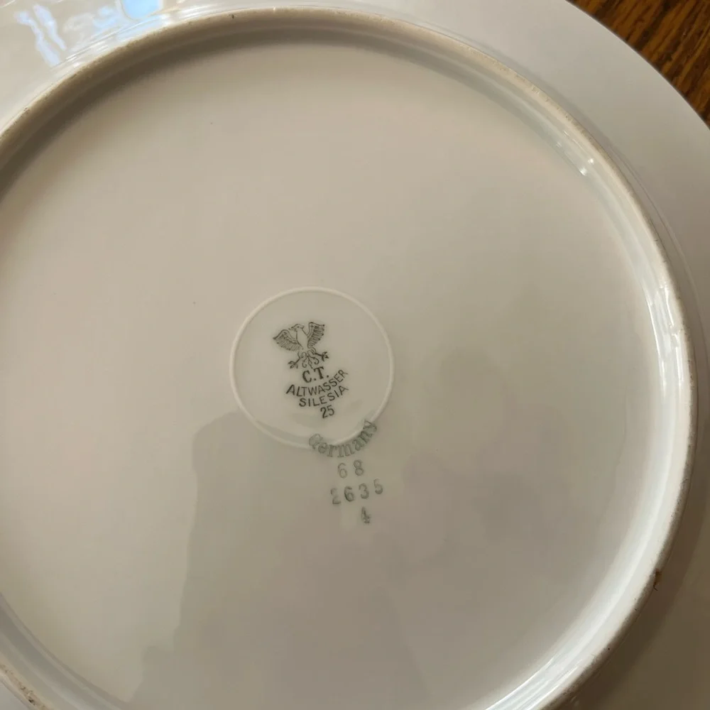 Blue Floral Rim Porcelain Dinner Plate Set